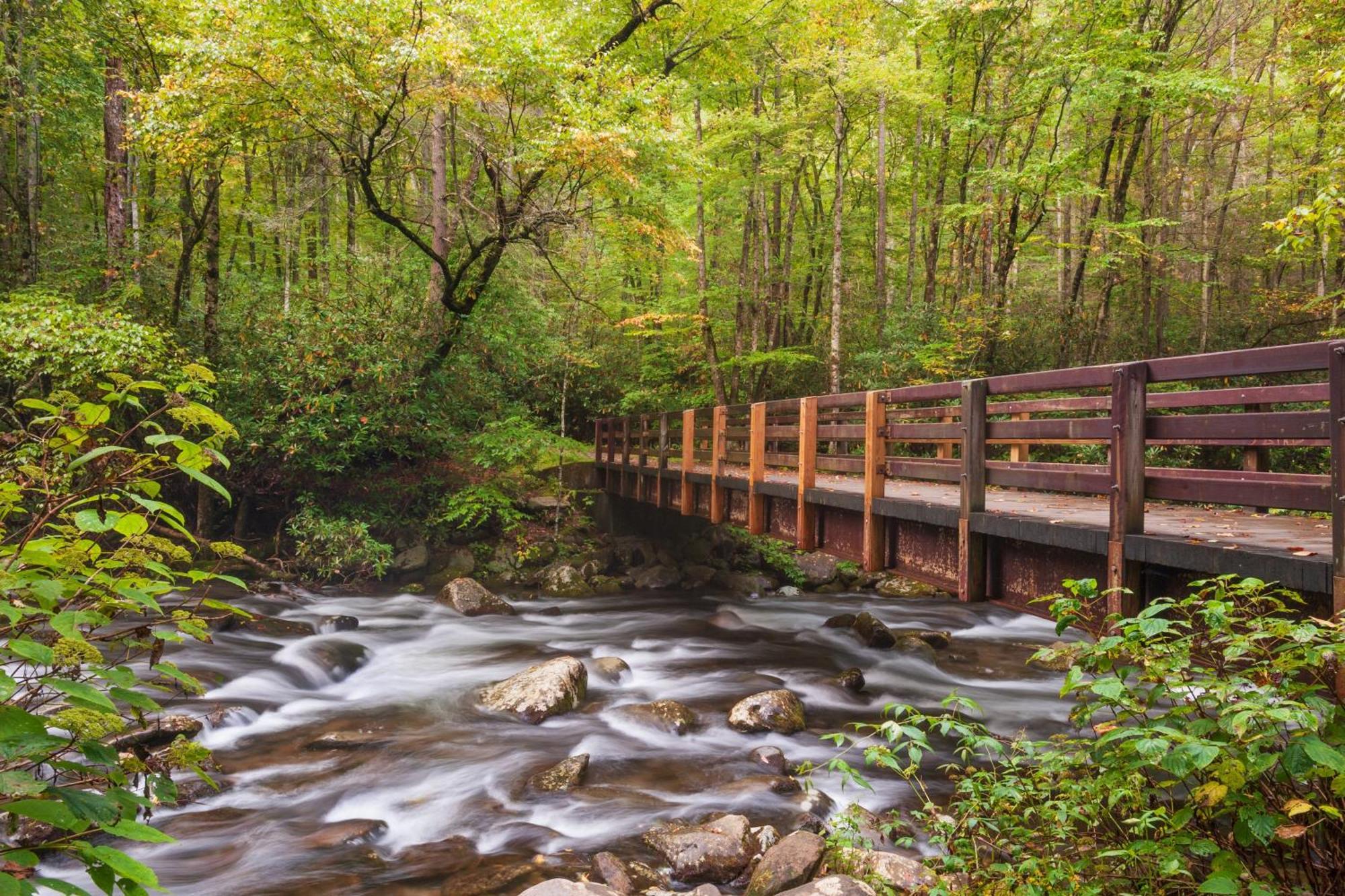 Sunshine Ridge, Hot Tub, Game Room, Wifi, 1089 Free Tickets Each Paid Day, Dollywood And More Sevierville Buitenkant foto